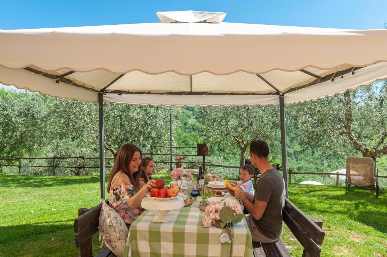 Agriturismo Le Dolci Colline Valfabbrica Номер фото